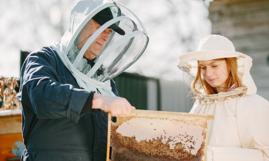 The Honey Extraction Process Explained