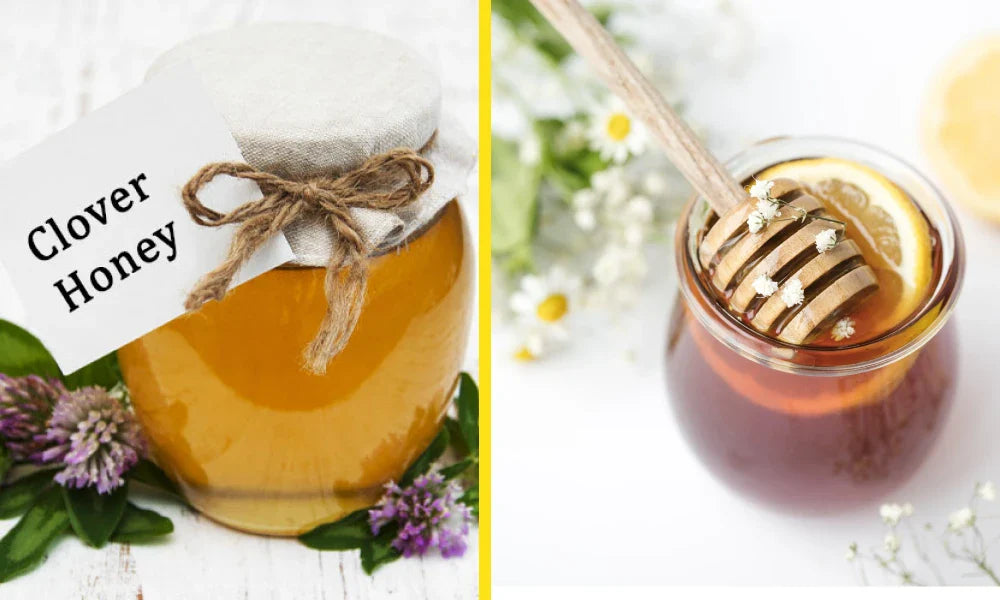 Difference Between Clover and Wildflower Honey