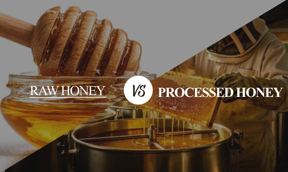 Raw Honey vs. Processed Honey: What’s the Difference?