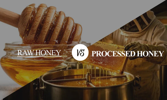 Raw Honey vs. Processed Honey: What’s the Difference?
