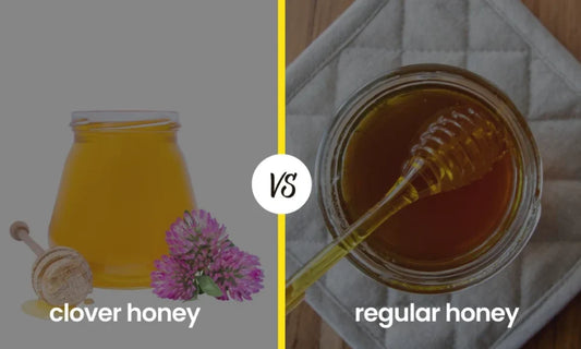 What Is Clover Honey vs. Regular Honey?