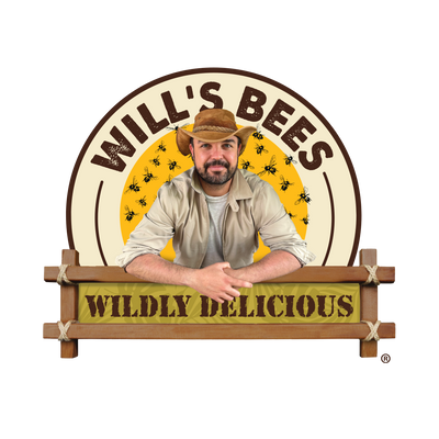 Willem Johannes Oosthuizen